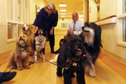 Volunteers from the Butler Dog Training Club bring registered therapy dogs to visit Veterans in VA Butler’s Community Living Center and Adult Day Health Care program.