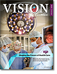 Cover of the current issue of Vision for Excellence.