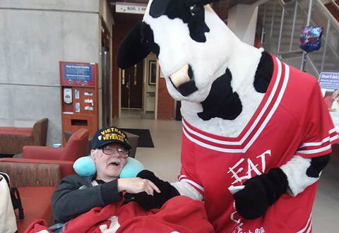 The Chick-Fil-A cow gives a cookie to a Veteran in a wheelchair.